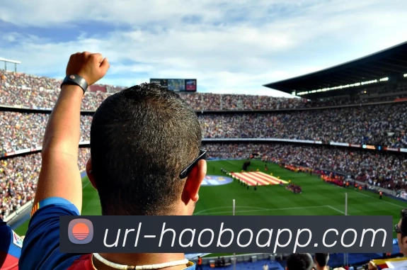 企业概况